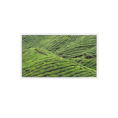 Goede prijs DV320WHD-NT0 32,0 inch 1366*768 LCD-scherm voor transparant display online