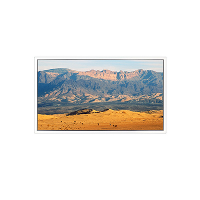Goede prijs 49 inch 3840*2160 DV490QUB-N8A LCD-scherm voor digitale signage online