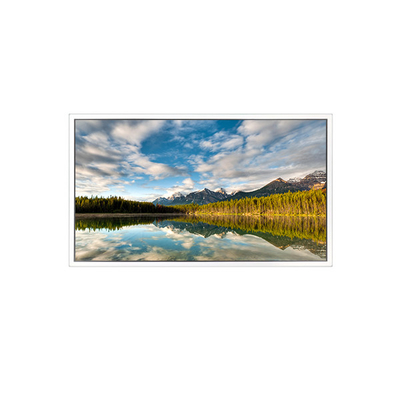 Goede prijs 55 inch DV550FHB-N30 1920*1080 LCD-scherm voor transparant display online