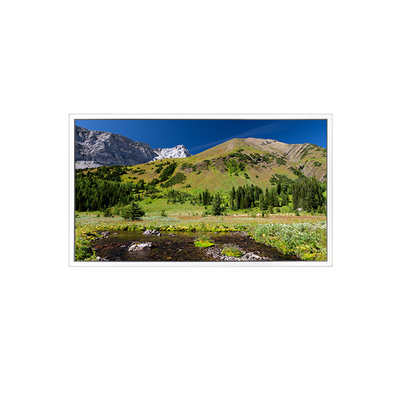 Goede prijs DV550QUB-N20 3840*2160 55 inch LCD-scherm voor digitale signage online