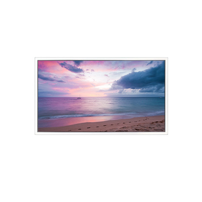 Goede prijs 3840*2160 DV550QUB-P10 55 inch 60Hz 1200:1 LCD-schermpaneel online