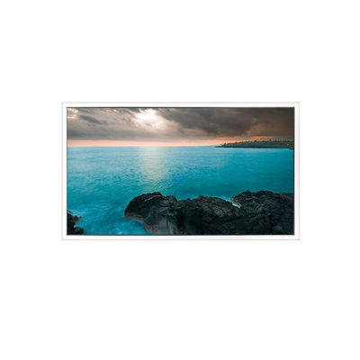 Goede prijs 65 inch 3840*2160 DV650QUM-N00 60Hz LCD-scherm voor BOE online