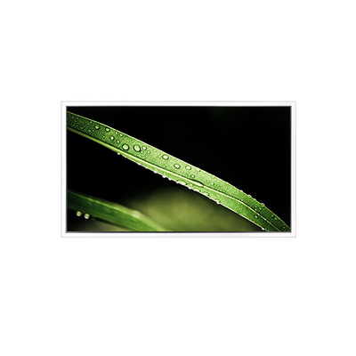 Goede prijs 3840*2160 65 inch DV650QUM-NV0 500 cd/m2 LCD-scherm voor videomuur online