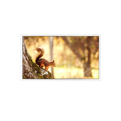 Goede prijs Nieuw EV156FHB-N12-2HP0 1920*1080 15,6 inch LCD scherm voor industrieel gebruik online