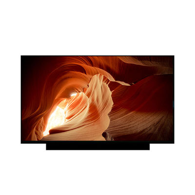 Goede prijs EV173FHM-N81 Nieuw 17,3 inch 1920*1080 LCD scherm online