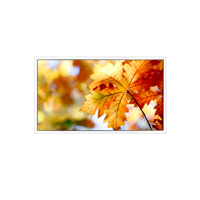 Goede prijs EV238FHM-N12 23,8 inch 1920*1080 LCD-schermmonitor online