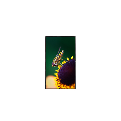 Goede prijs 1080*2160 5,5 inch GS055Y8E-N40 1500:1 60Hz LCD-scherm voor PDA online