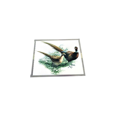 Goede prijs 15.0 inch LQ150X1DG11B TFT-LCD scherm display panel online