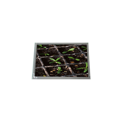 Goede prijs Nieuw LQ315D1LG91 32,0 inch 3840*2160 LCD-scherm voor digitale signage online