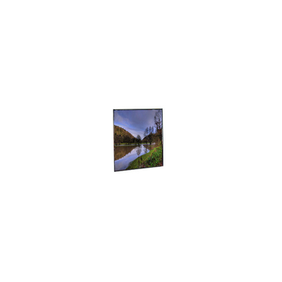 Goede prijs LH500WF1-SD01 5,0 inch MIPI 30 pin LCD-scherm online