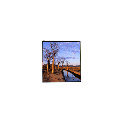 Goede prijs LH500WX1-SH01 5,0 inch 800:1 LCD-scherm online