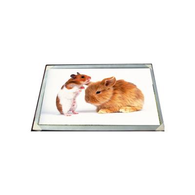 Goede prijs LM170E03-TLG6 17,0 inch 16,7M LCD Panel Module online