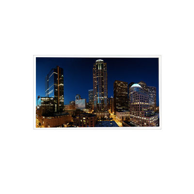 Goede prijs QV101WUM-N63 10,1 inch 1920*1200 8S6P WLED LCD-paneel voor industriële online