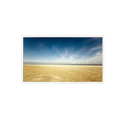 Goede prijs 800*1280 10,1 inch TV101WXM-NM0 500 cd/m2 LCD-paneel voor Pad Tablet online