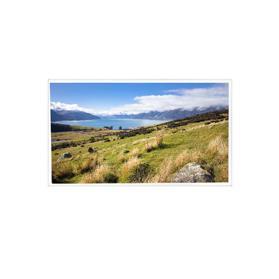 Goede prijs 1920*1080 14,0 inch QE140FHM-N80 1000:1 eDP 30 pins LCD-paneel online