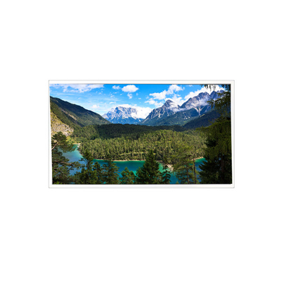 Goede prijs 1280*800 QV121WXB-N10 12,1 inch 60Hz 1200 : 1 LCD-schermmodule online
