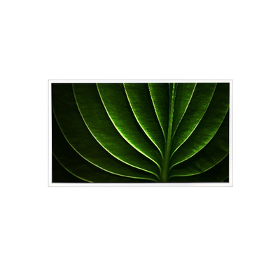 Goede prijs TAD201-001 20,1 inch 1600*1200 450 cd/m2 60Hz LCD-scherm voor industrieel gebruik online