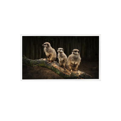 Goede prijs RV150U0M-NI0 1600*1200 15,0 inch LCD-schermpaneel online