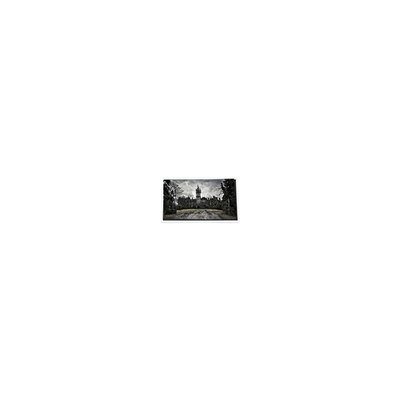 Goede prijs 640*480 PD035VX3 3,5 inch Touch 400:1 LCD scherm online