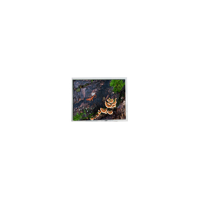 Goede prijs 5.7 inch PD057VU8 640*480 60Hz LCD-scherm voor industrieel gebruik online