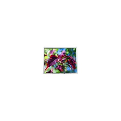 Goede prijs 8.0 inch 800*600 PD080SY2 500:1 WLED-LCD-schermmodule online
