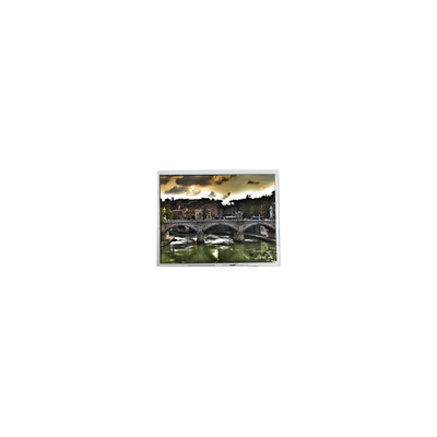 Goede prijs Hot Sell 800*600 10,4 inch PD104SLD 400:1 262K LCD scherm online