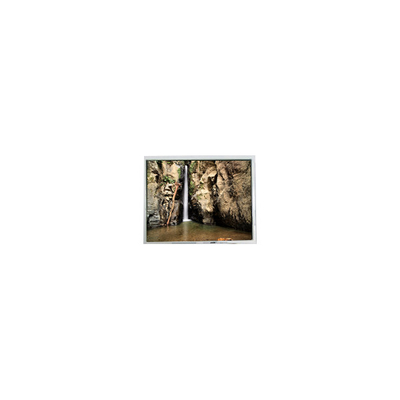 Goede prijs 800*600 PD104SLJ 10,4 inch 400 cd/m2 60Hz LCD scherm online