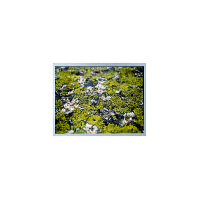 Goede prijs 1024*768 12,1 inch PD121XL9 4S6P WLED 60Hz LCD scherm online