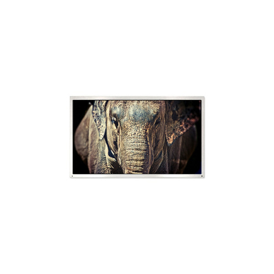 Goede prijs PE040QX1 MiNi 4.0 inch 320*240 1000:1 30 pins LCD schermpaneel online