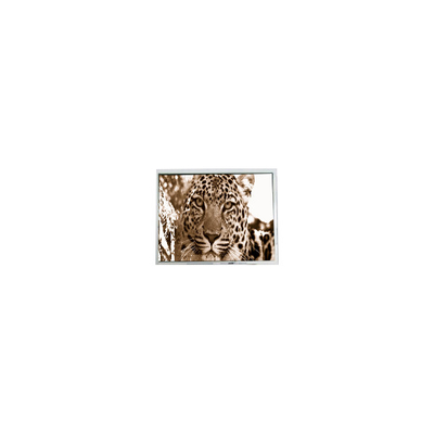Goede prijs PM070WM2 7,0 inch 800*480 LCD-scherm voor draagbare DVD-speler online
