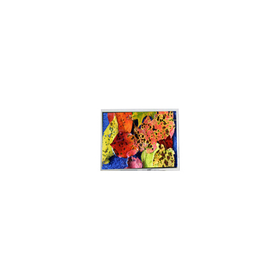 Goede prijs 800*600 AM-80060K3TMQW-02H 10,4 inch LVDS LCD scherm online