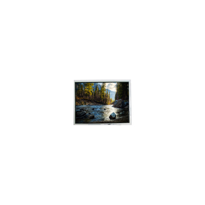 Goede prijs 10.4 inch AM640480ETMCW00 640*480 LCD-schermpaneel voor industrieel gebruik online