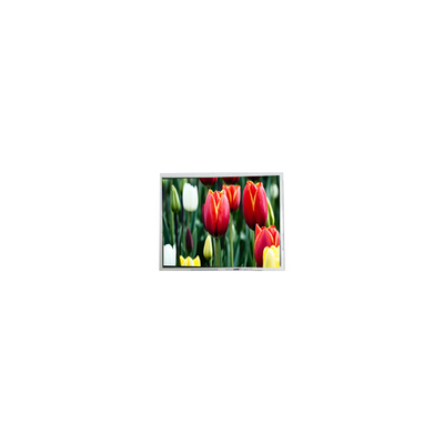 Goede prijs 8.9 inch AM-800480ANTMQW-A0H 800*480 LCD scherm Panel Display online