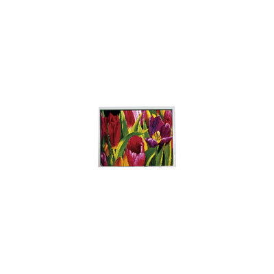 Goede prijs AM-800480LATMQW-TN0H-L 800*480 5,0 inch 3S6P WLED LCD Panel online