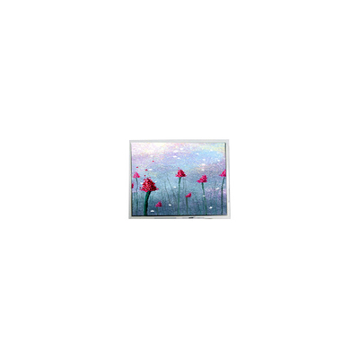 Goede prijs AM-800480LTMQW-TW1H 5,0 inch 800*480 Touch LCD-scherm online