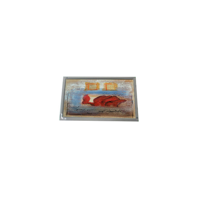 Goede prijs Hot Sell 800*480 AM-800480S5LMQW-00 7,0 inch 1000: 1 LCD-paneel online