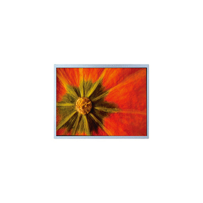 Goede prijs Originele 1024*600 AM-1024600LTMQW-T05H-A TFT LCD-scherm online