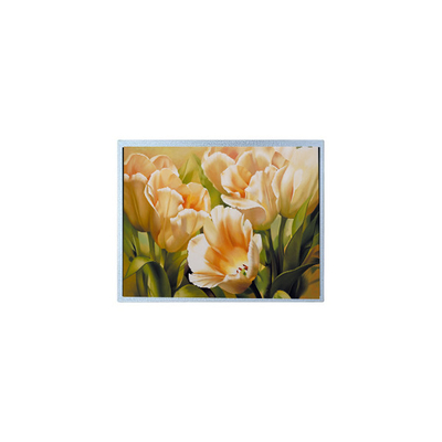 Goede prijs 9.0 inch 1024*600 AM-1024600Y2TZQW-A0H TFT 1200 cd/m2 LCD-schermpaneel online