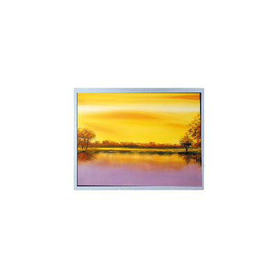 Goede prijs 1024*768 AM-1024768J2TZQW-T00H 8,0 inch TFT PCAP LCD-schermonderdelen online
