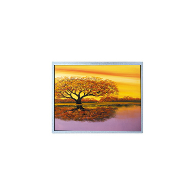 Goede prijs AM-1024768J3TRQW-A0 1024*768 8,0 inch TFT LCD-schermpaneel online