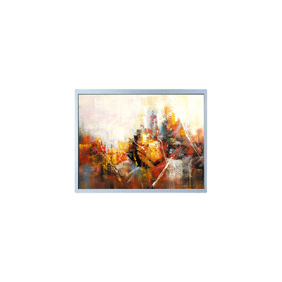 Goede prijs 1024*768 10,4 inch AM-1024768M2TMQW-T00H 30 pins TFT LCD scherm online