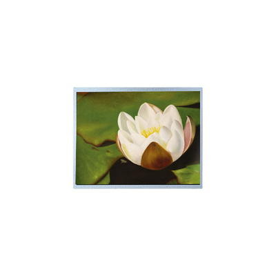 Goede prijs AM-1024768M2TMQW-T06H 1024*768 10,4 inch PCAP TFT LCD schermonderdelen online
