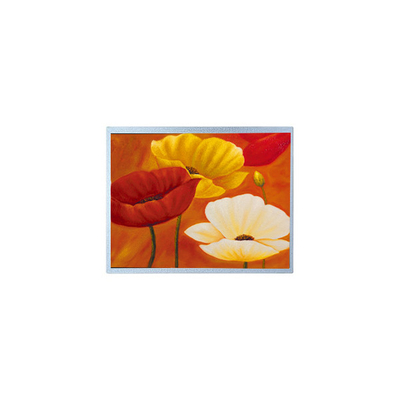 Goede prijs AM-1024768QTMQW-00H 15.0 inch 1024*768 20 pins TFT LCD schermpaneel online