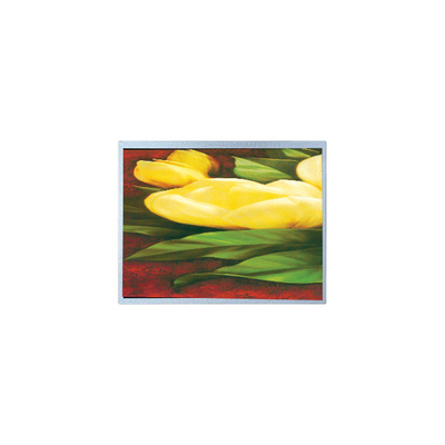 Goede prijs Hot Sell 12,1 inch AM-1024768R2TNQW-T00H 1024*768 TFT LCD scherm online