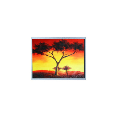 Goede prijs AM-1024768Z6TZQW-00H 1024*768 12,1 inch 1300 cd/m2 TFT LCD scherm online