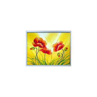 Goede prijs AM-1280800W2TZQW-00H 10,1 inch LCD-scherm voor buiten hoge helderheid online