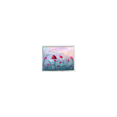 Goede prijs DMF5005NF-SEW-BBE-CQ 5.2 inch 240*64 200 cd/m2 LCD-schermonderdelen online