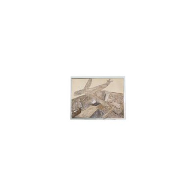 Goede prijs Nieuwe 5,2 inch 240*64 DMF5005NYJ-LY-BXE-CU 70Hz LCD-scherm online