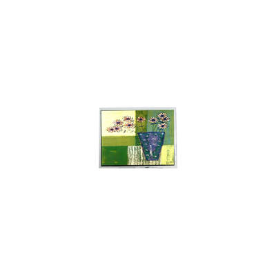 Goede prijs 240*64 5,2 inch DMF5010NBU-FW-BD 20 pins LCD-scherm online