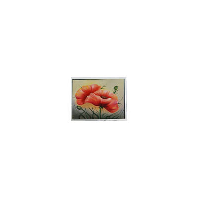 Goede prijs DMF5010NF-FW 240*64 5,2 inch LCD-paneel Industrieel scherm online